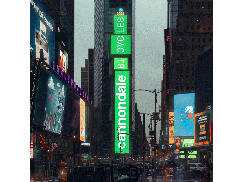 Cannondale Adventure Neo 3