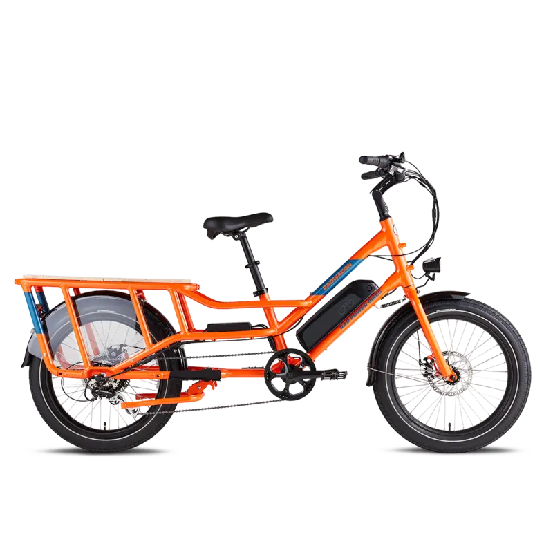 Rad Power Bikes RadWagon 4