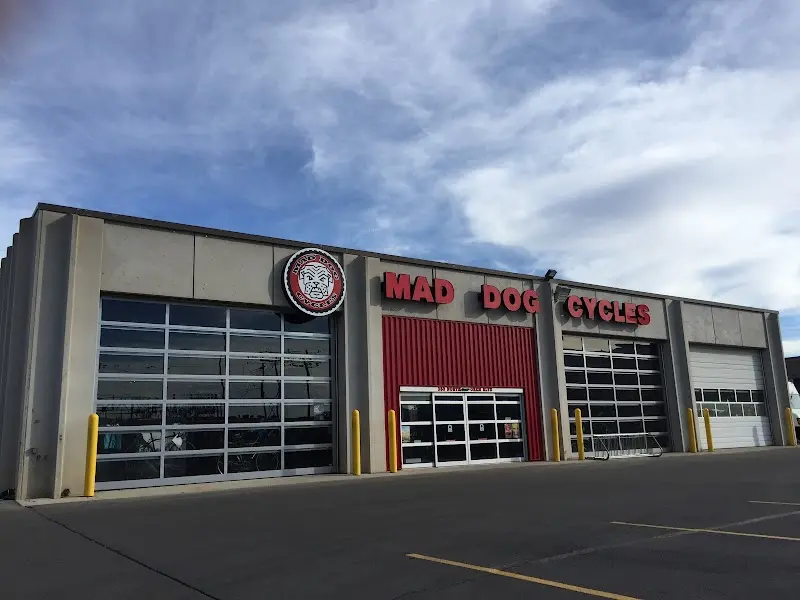 Mad Dog Cycles storefront