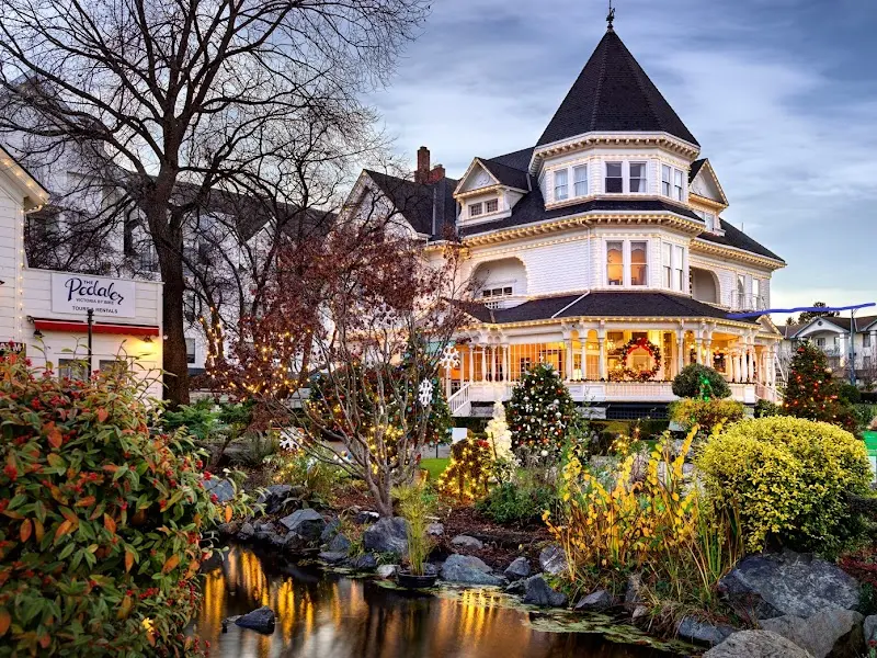 The Pedaler Cycling Tours & Rentals storefront