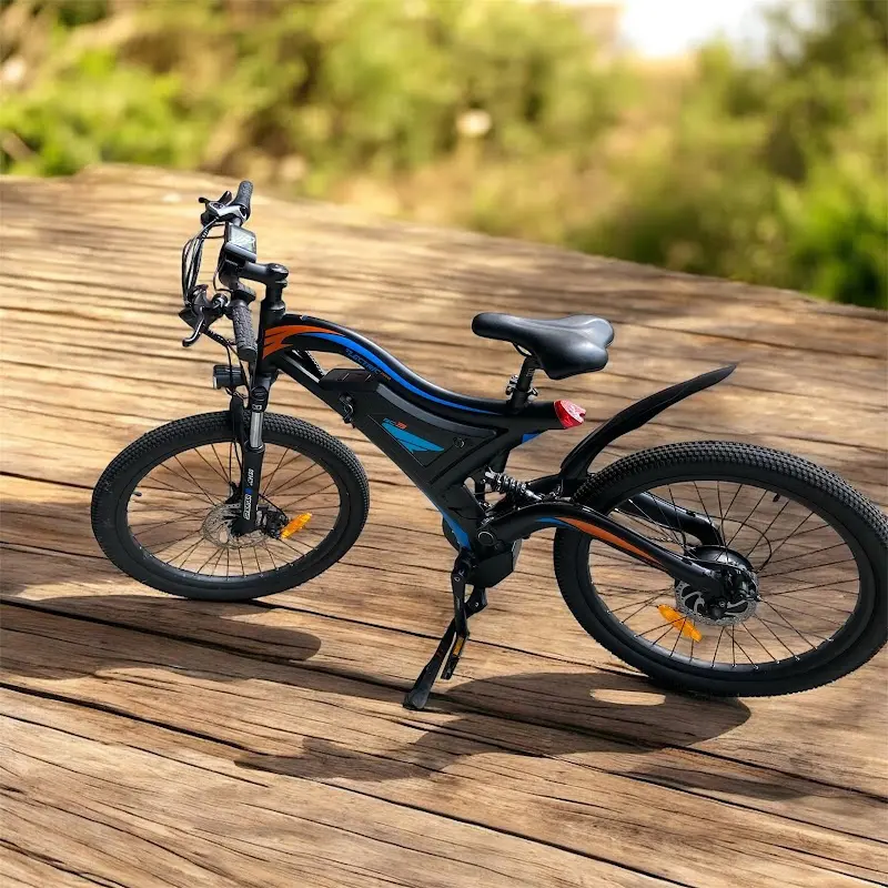 Palmetto Ebikes storefront