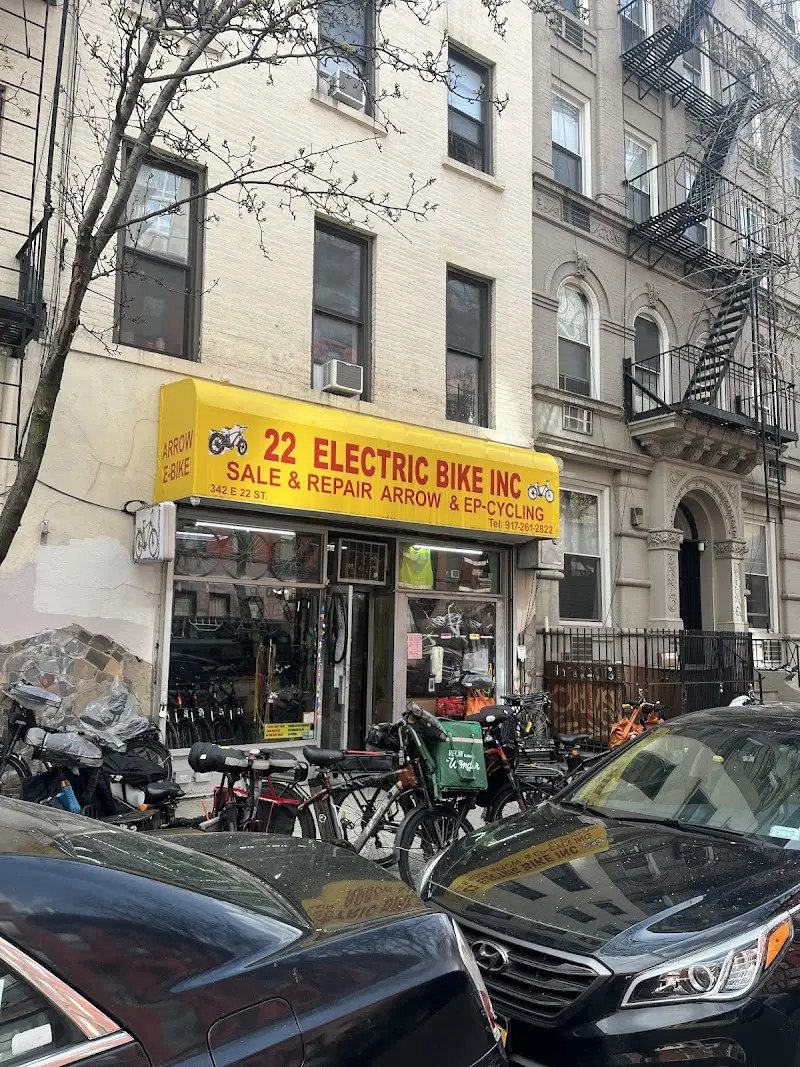 22 ELECTRIC BIKE INC storefront