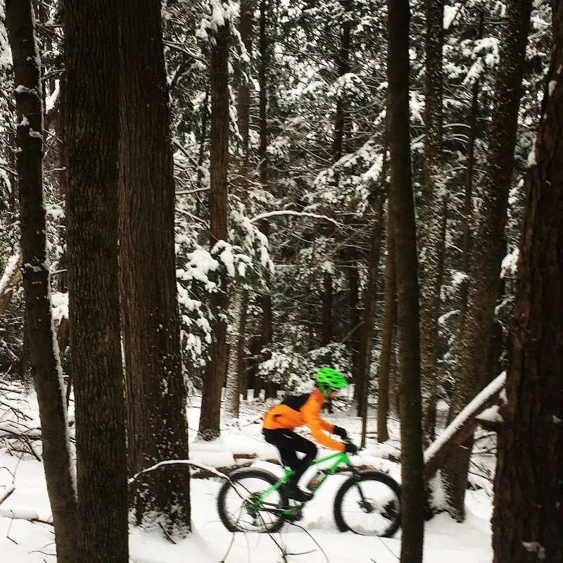 Wheels Unlimited storefront