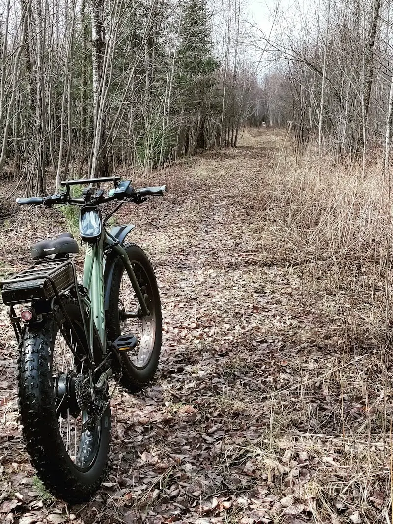 Galleria Bicycle storefront
