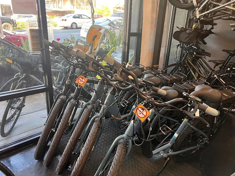 San Francisco E-Bike Rentals (San Francisco Electric Bike Rentals) storefront