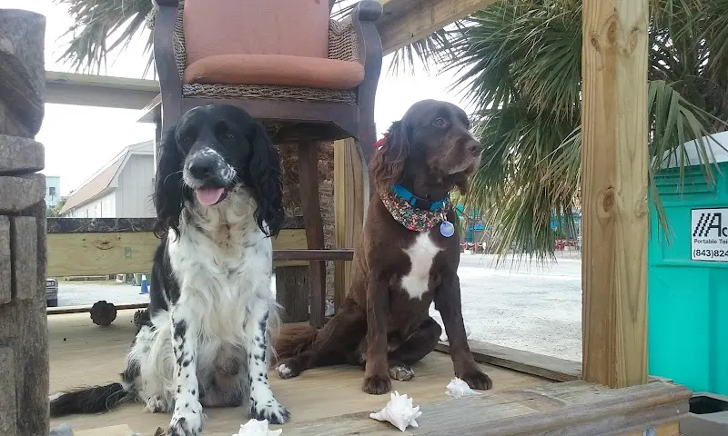 COOL BREEZE BIKE RENTALS storefront