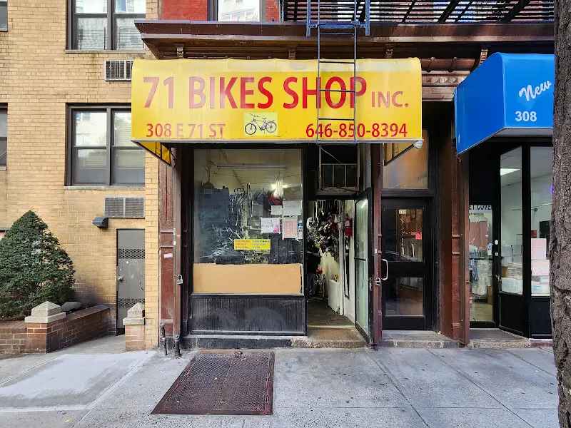 71 E-BIKES INC storefront