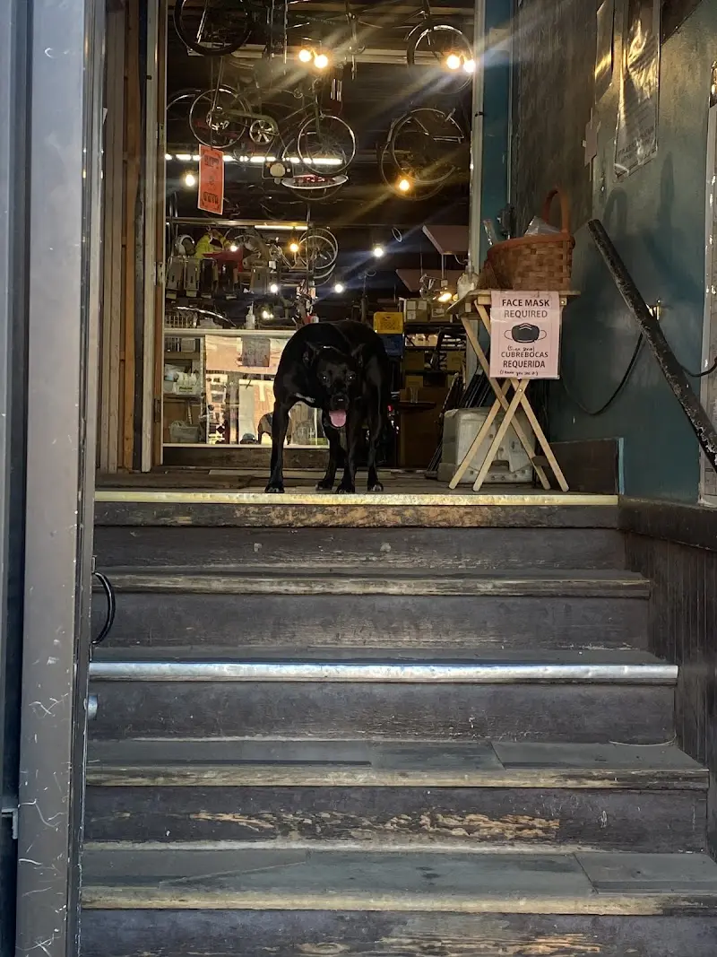 Working Bikes storefront