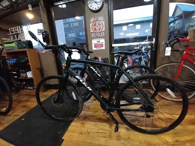 Wheel House Bicycle Shop storefront