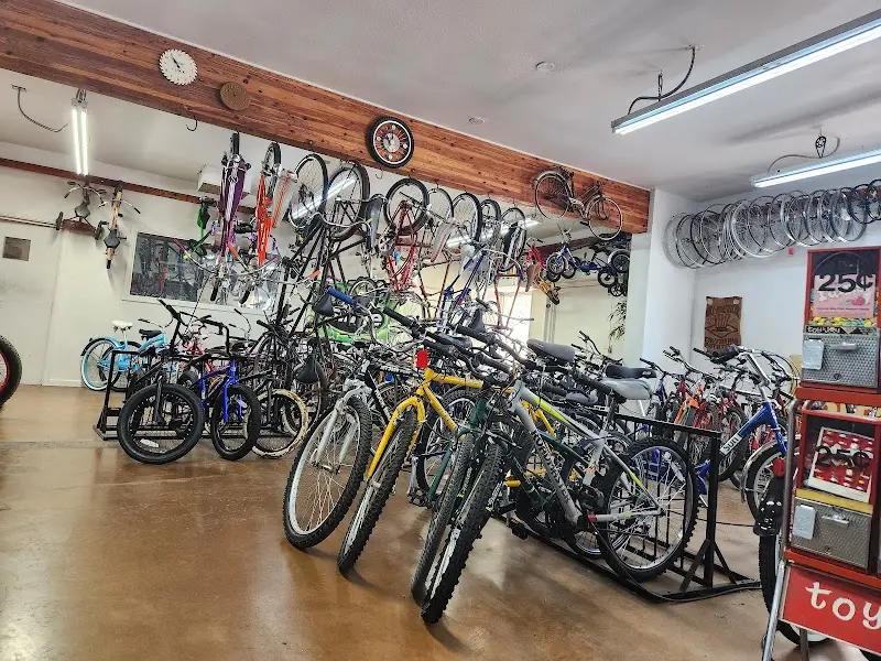 Try Me Bicycle Shop storefront