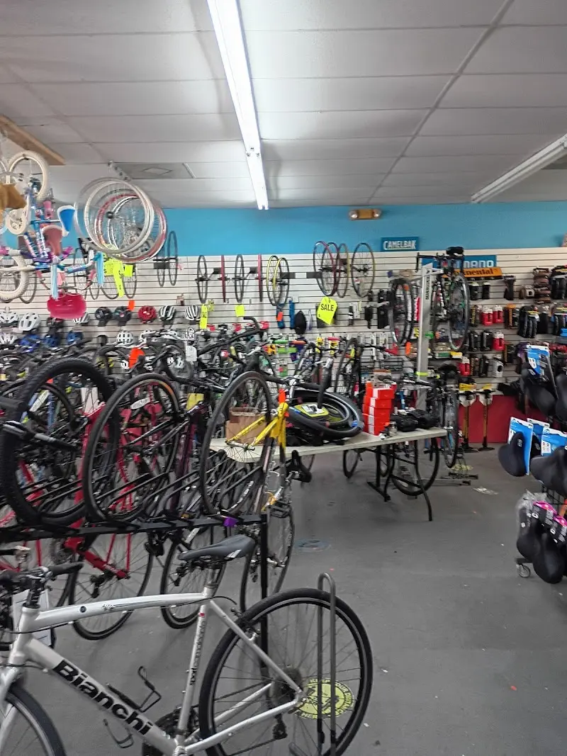 Southwest Cyclery Bicycle Repair Shop storefront