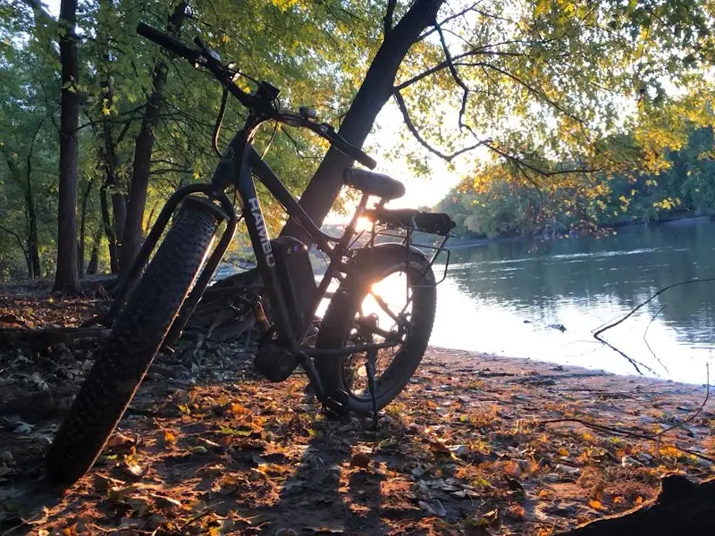 Lee Tours E-Bike Rentals storefront