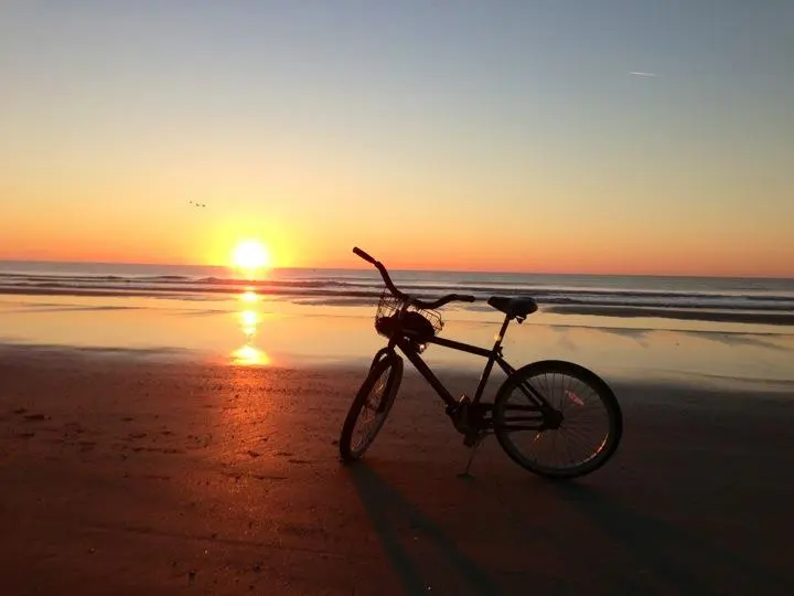 Pedals Bicycles storefront
