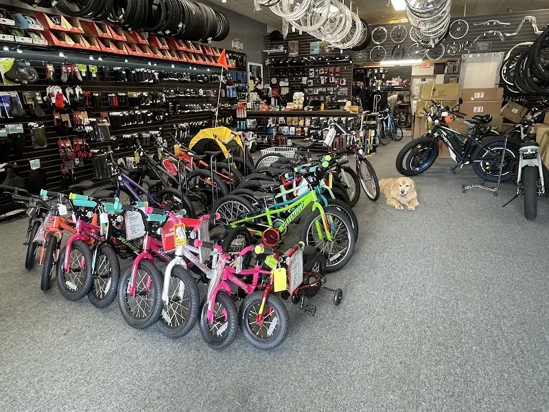 Mr C's Bicycles storefront